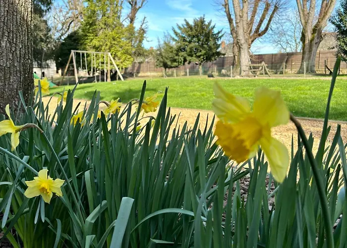 La Parenthese Flechoise, Raphael 住宿加早餐酒店